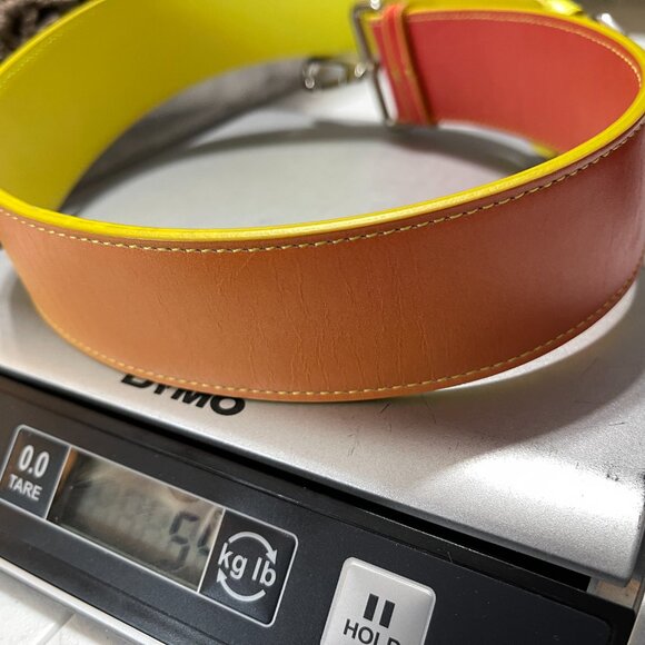 2014 CHRISTIAN DIOR BOX CALFSKIN GRADIENT MEDIUM LADY DIOR YELLOW ORANGE W/STRAP - Picture 9 of 15